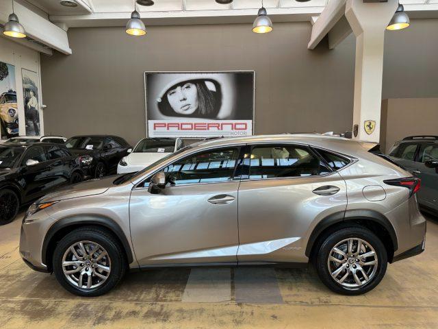 LEXUS NX 300 Hybrid 4WD Luxury - 18" - Camera - Pelle nera