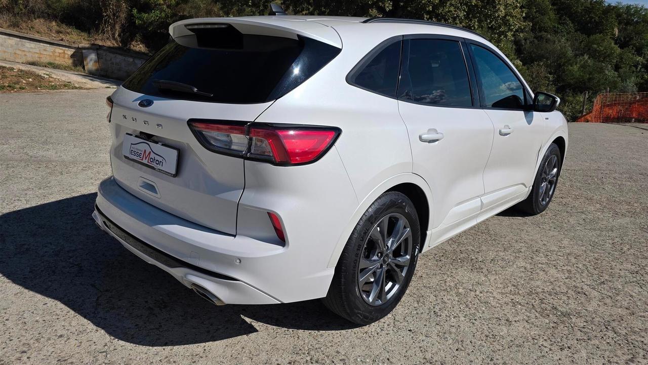Ford Kuga 1.5 EcoBlue 120 CV aut. 2WD ST-Line X