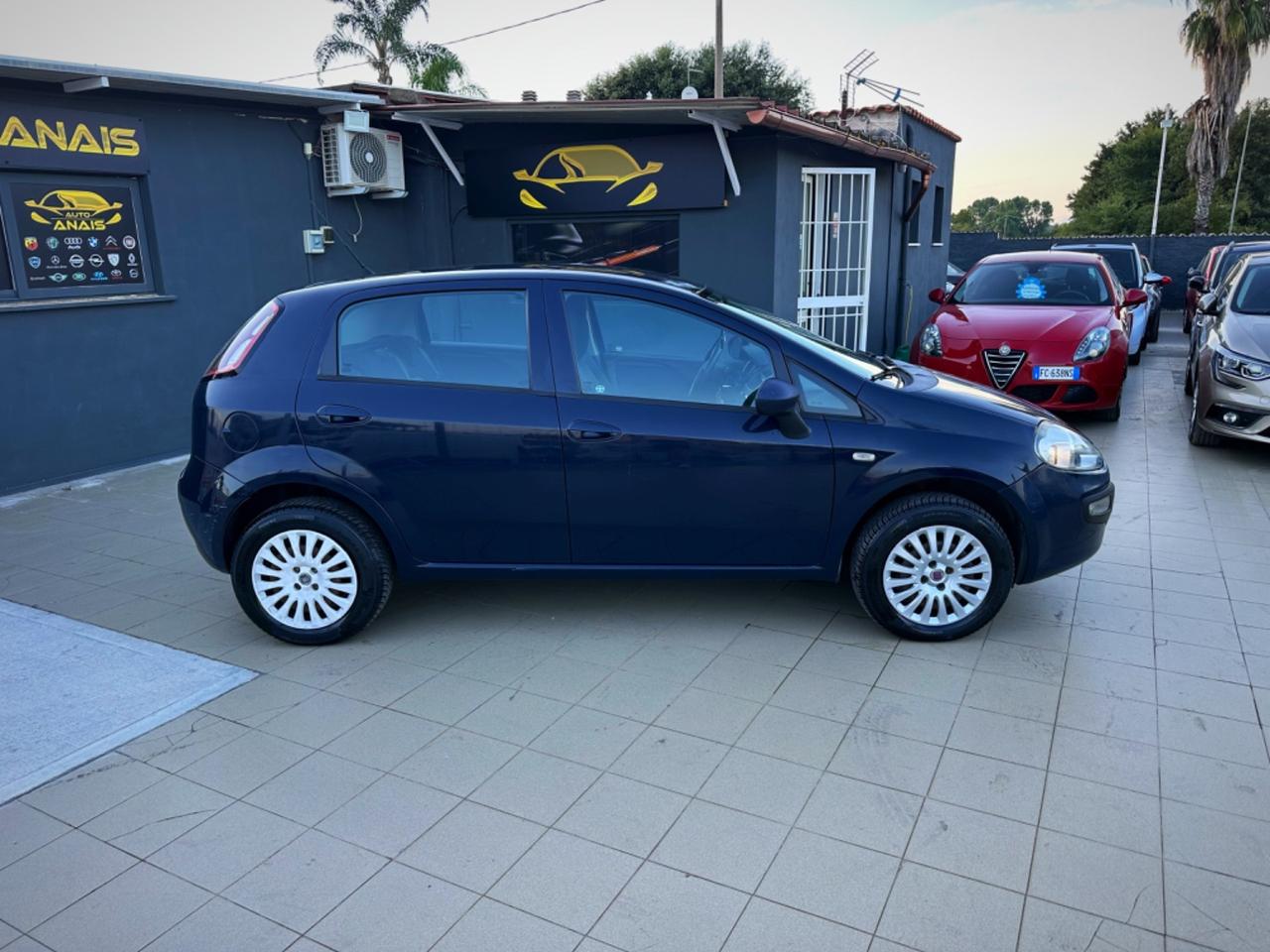 Fiat Punto Evo Punto Evo 1.4 5 porte Active Natural Power Garanzia 12 Mesi