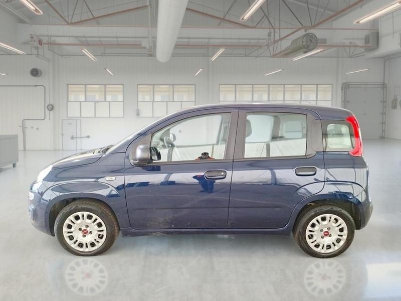 FIAT PANDA 1.0 FIREFLY 70 CV SES HYBRID 5 PORTE BERLINA