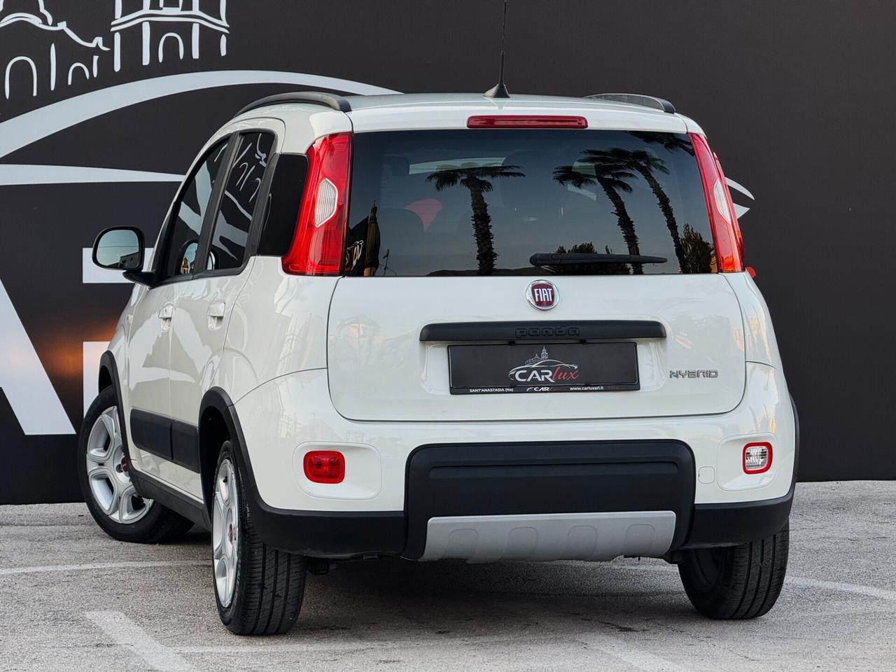 Fiat Panda 1.0 Firefly Hybrid S 69CV S&S | IVA ESP