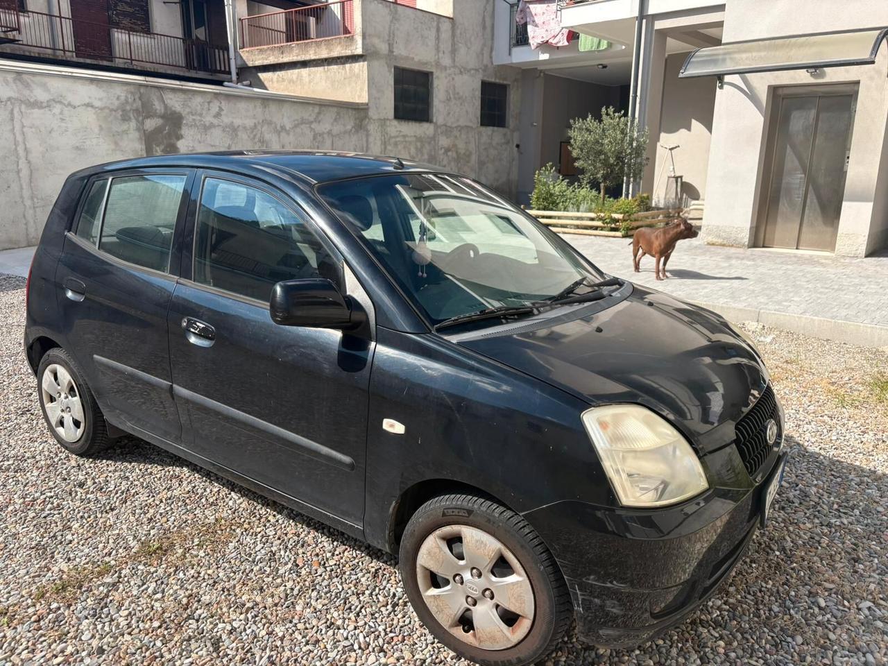 Kia Picanto 1.0 12V Spirit ADATTA A NEO PATENTATI VEICOLO UNICA PROPRIETARIA