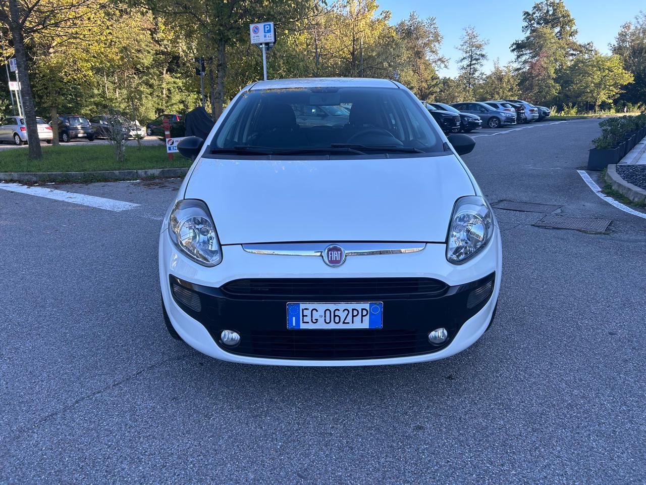 Fiat Punto Evo 1.2 5 porte S&S Dynamic*Neo patentati *