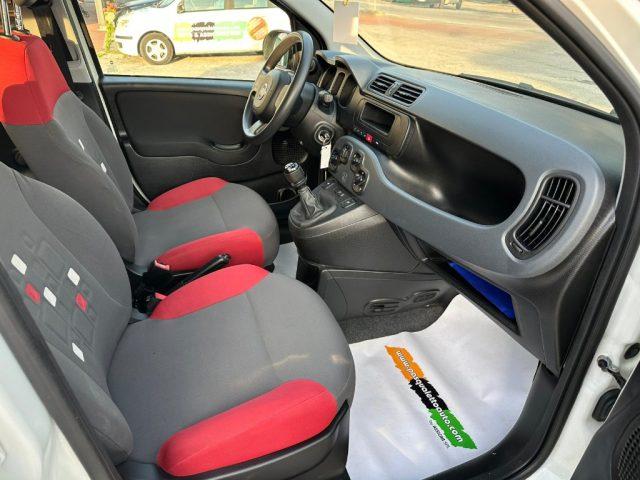 FIAT Panda OK NEO PAT. 1.2 Easy