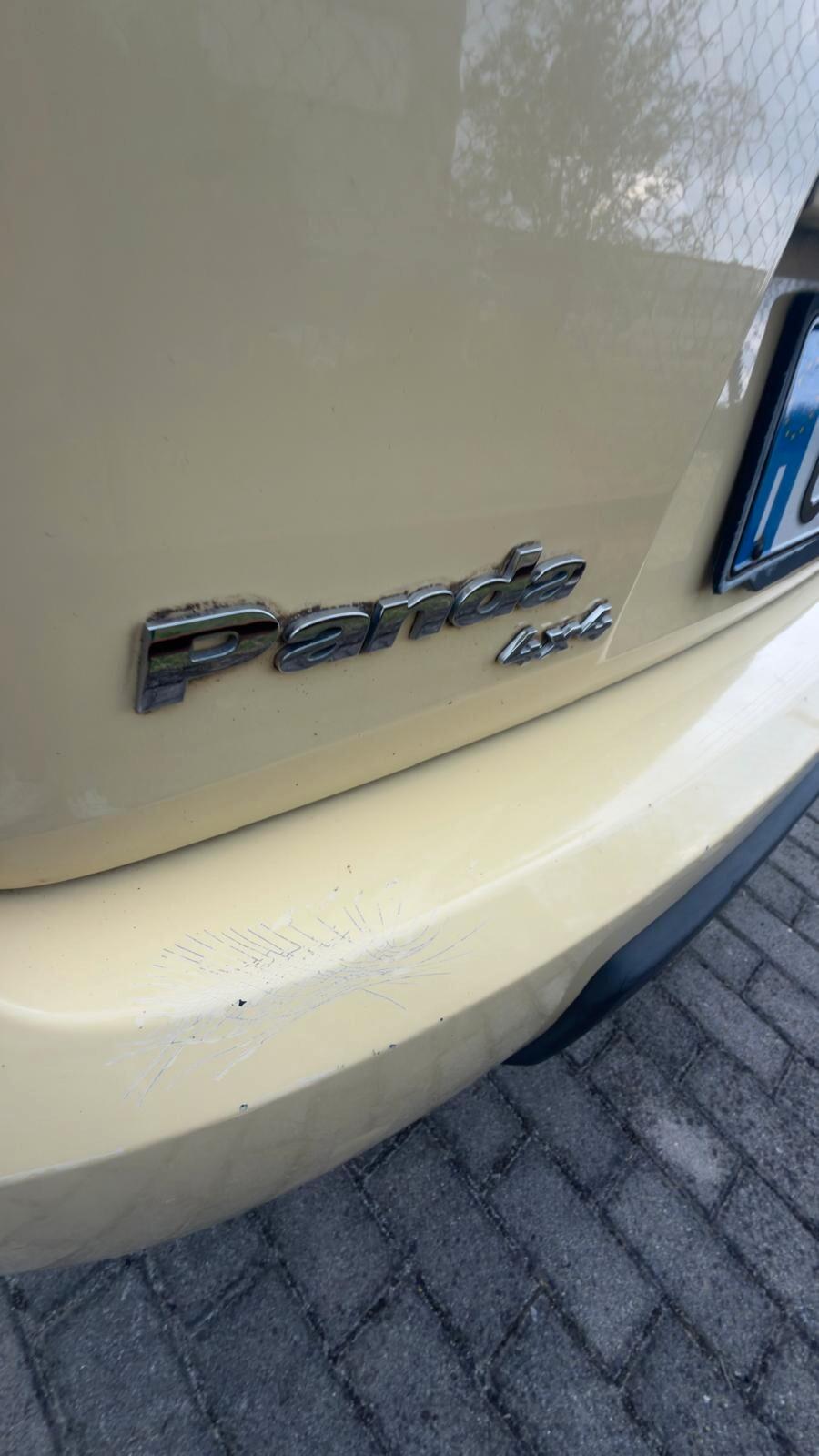 Fiat Panda 1.2 4x4