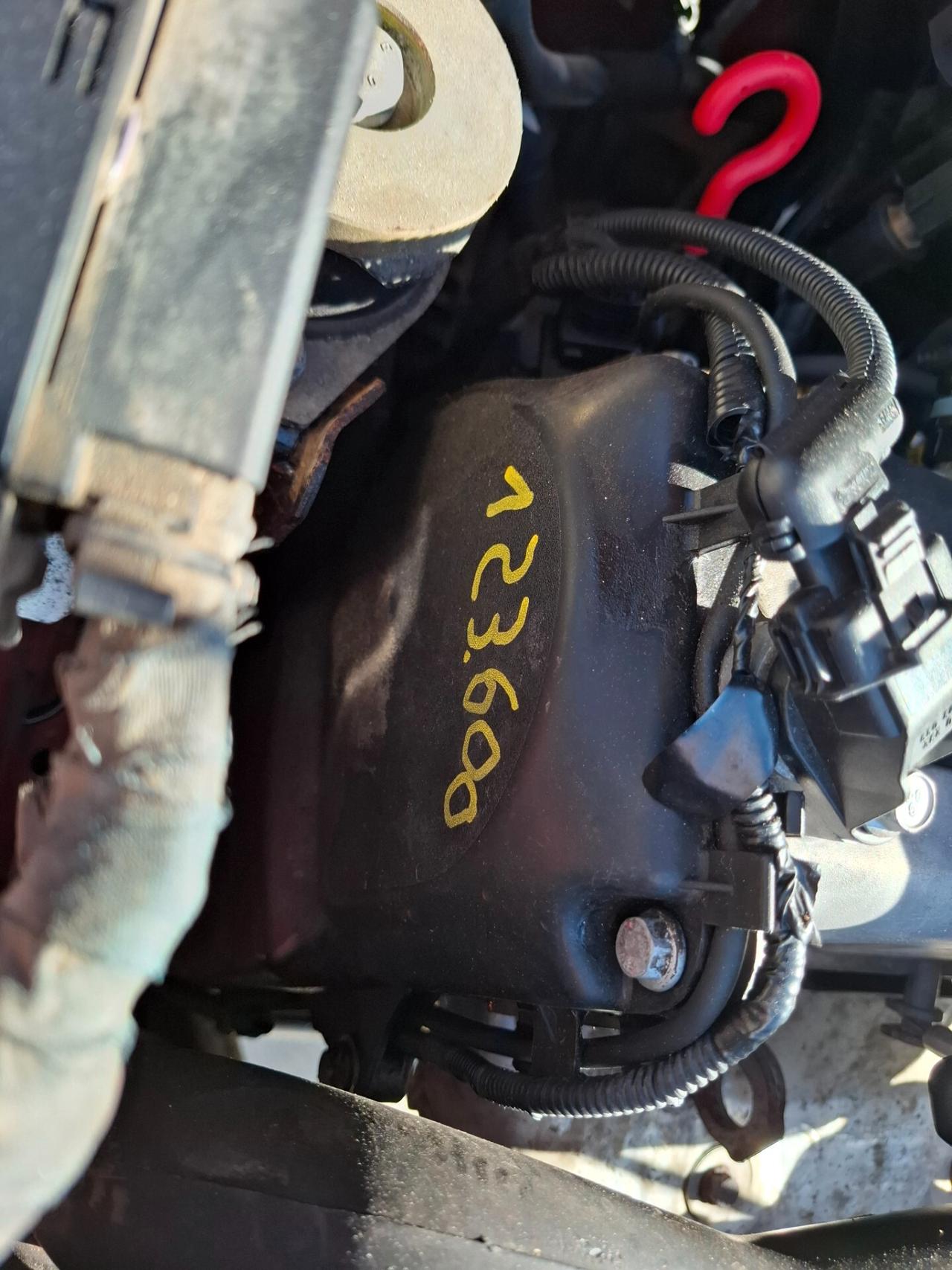 Fiat Panda 1100 BENZINA YOUNG - 2002 NUOVISSIMA !!!!!!!