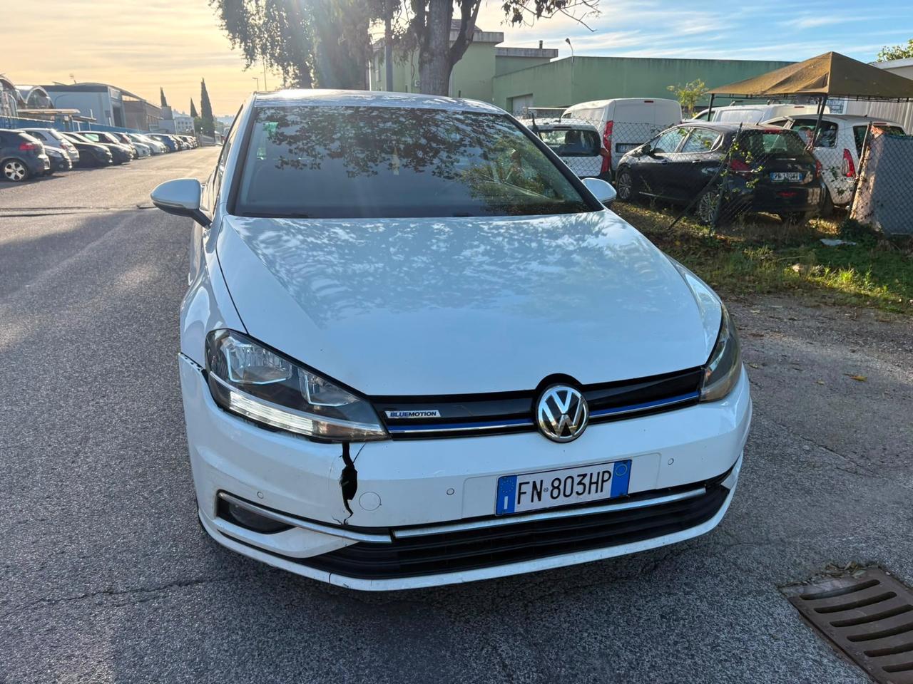 Volkswagen Golf 1.4 TGI 5p. Business BlueMotion