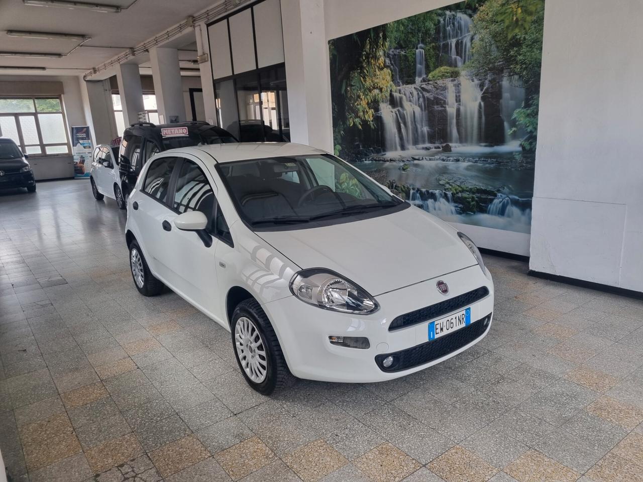 Fiat Punto 1.4 8V 5 porte Natural Power Street
