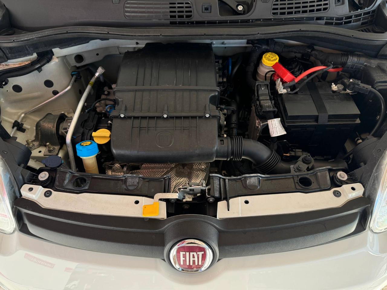 FIAT Panda 3ª serie Panda 1.2 Easy