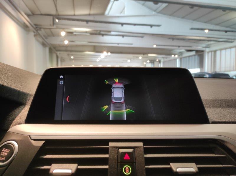 BMW X4 (G02/F98) - X4 xDrive30d 48V Business Advantage