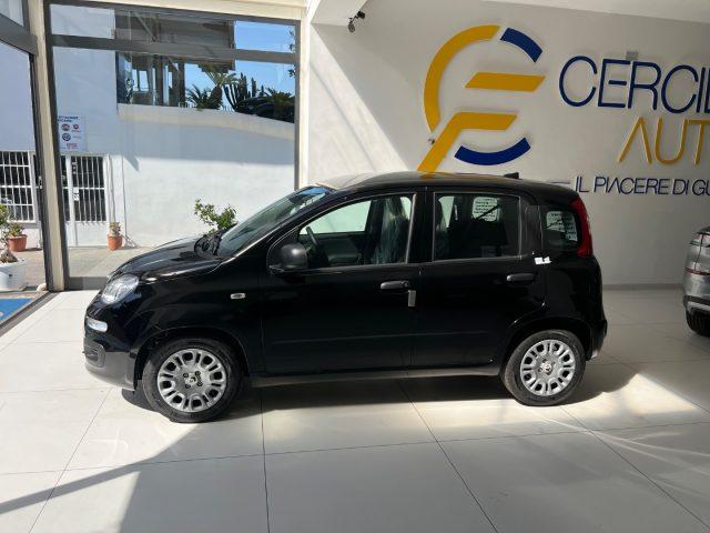 FIAT Panda 1.0 FireFly S&S Hybrid Icon tua da ?149,,00