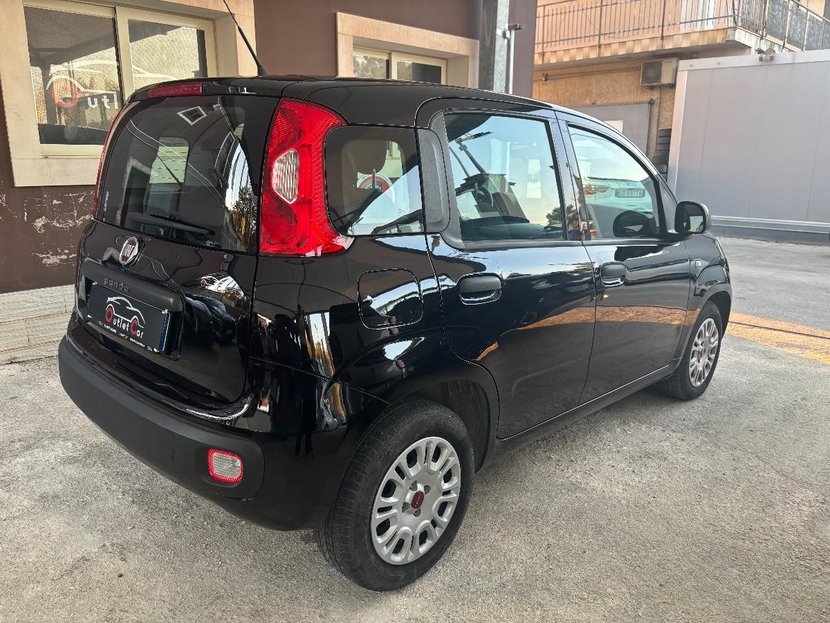 FIAT - Panda - 1.2 Easy
