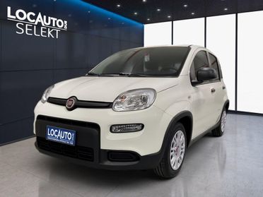 Fiat Panda 1.0 FireFly Hybrid - PROMO