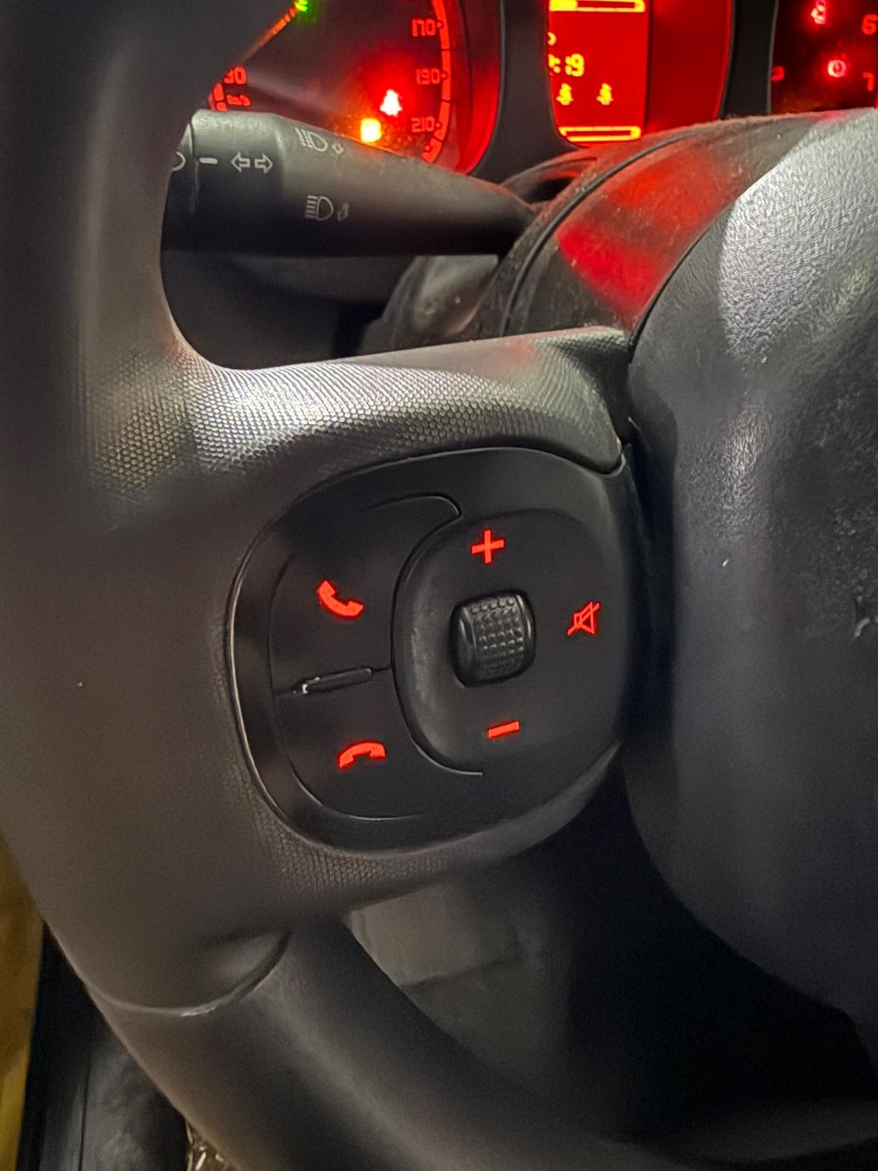 Fiat Panda 1.2 CROSS GPL DI SERiE