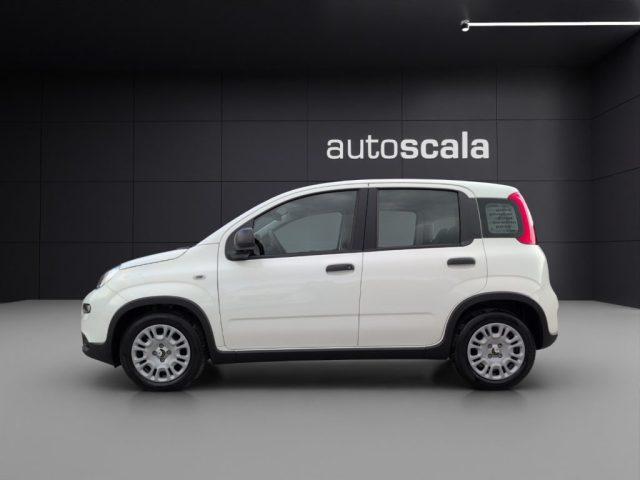 FIAT Panda 1.0 FireFly S&S Hybrid Pandina