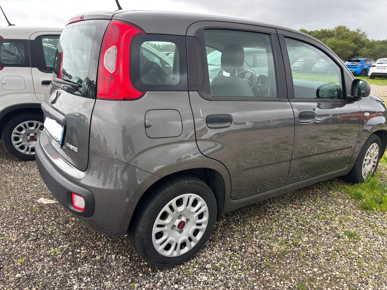 Fiat Panda 1.0 FireFly S&S Hybrid Easy GARANZIA 12 MESI