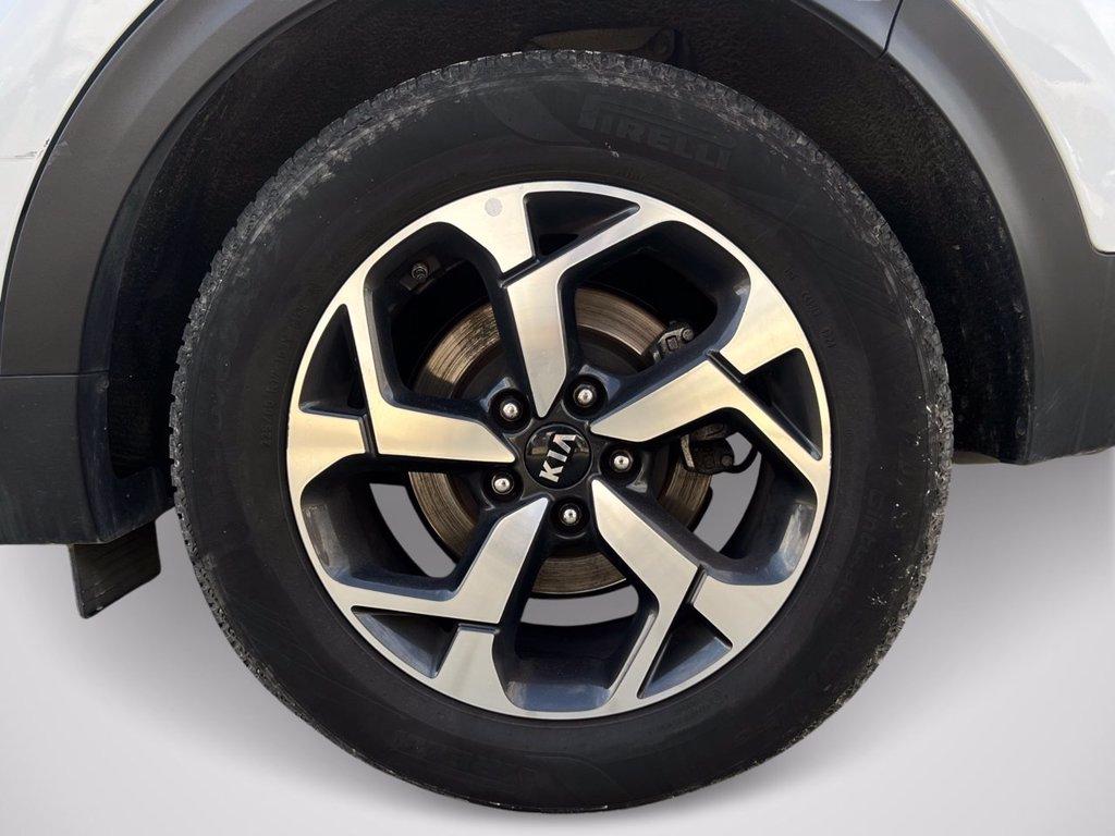 KIA Sportage 1.6 CRDI 115 CV 2WD Energy del 2020