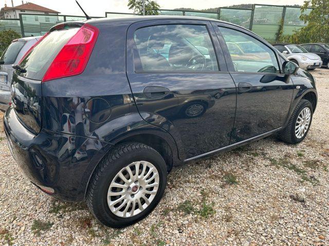 FIAT Punto 1.4 8V 5 porte Natural Power Street