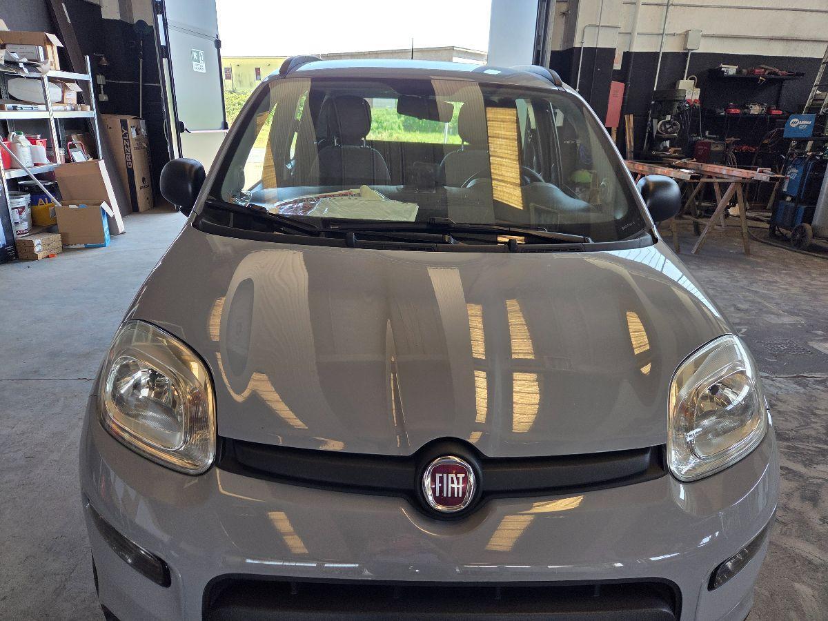 FIAT - Panda - 1.0 FireFly S&S Hybrid City Life