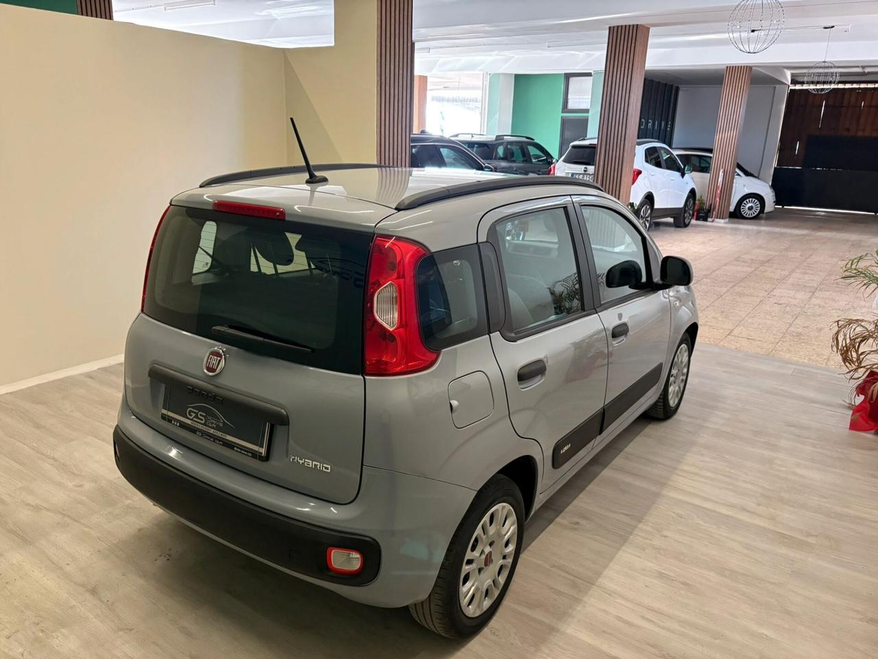 Fiat Panda 1000cc 69cv FireFly S&S Benzina/Hybrid