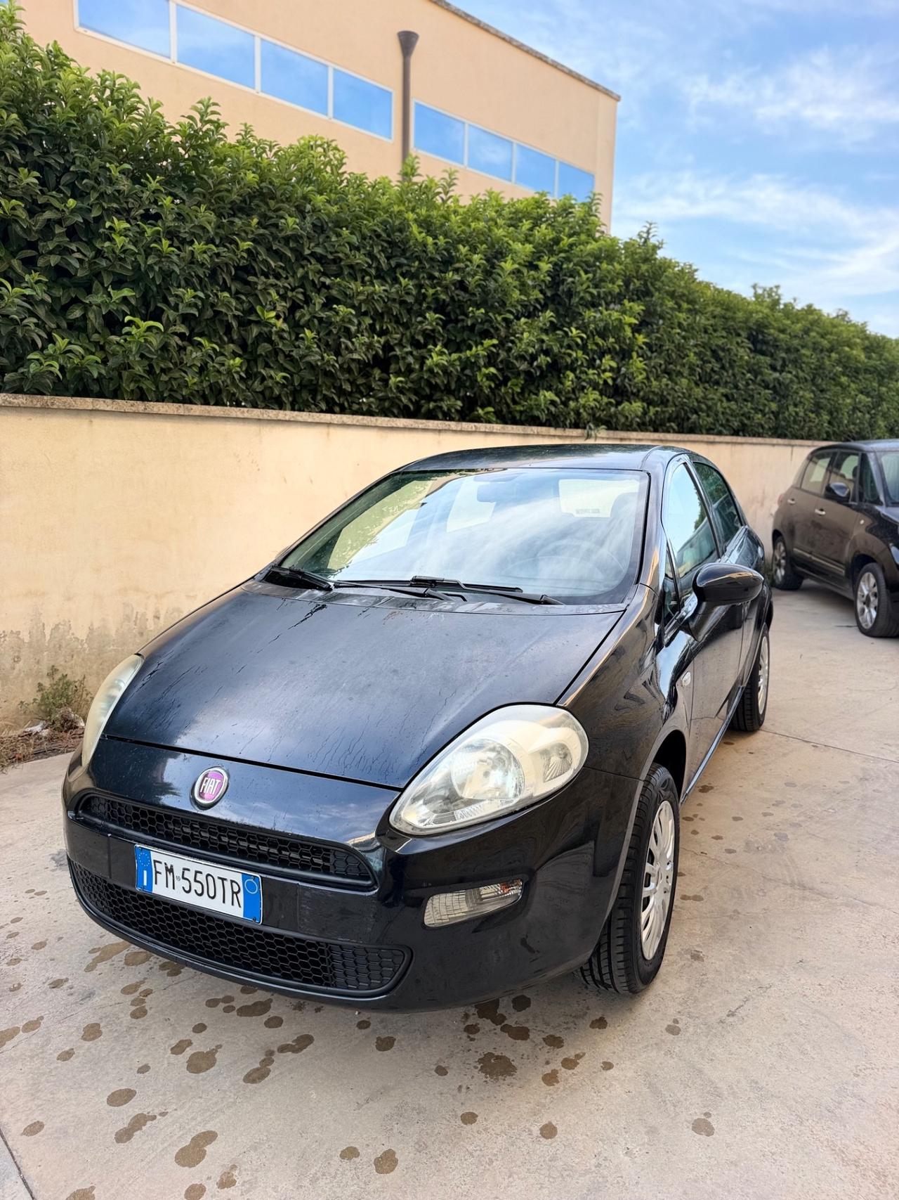 Fiat Punto 1.4 8V 5 porte Natural Power Street