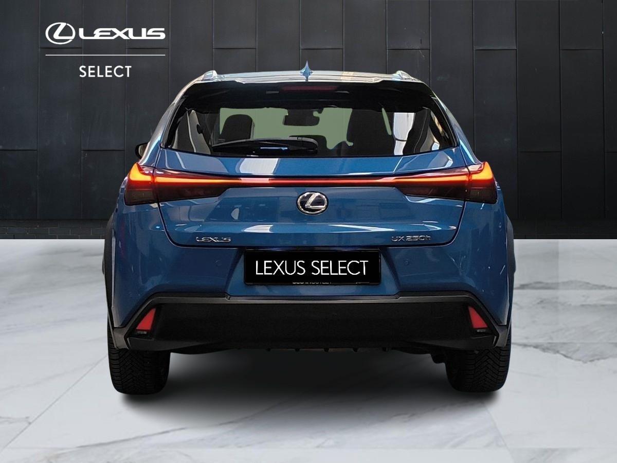 LEXUS UX 2019 - UX 250h 2.0 Luxury 4wd cvt my20
