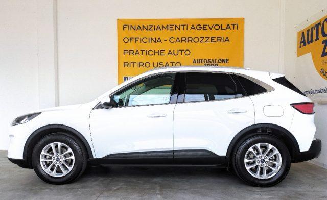 FORD Kuga 1.5 EcoBlue 120 CV 2WD Titanium GAR/UFF 2024