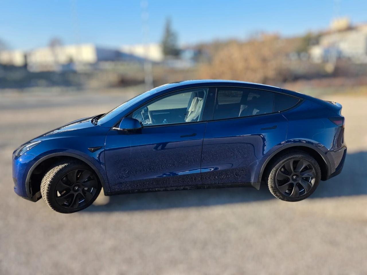 Tesla Model Y Single Motor rwd