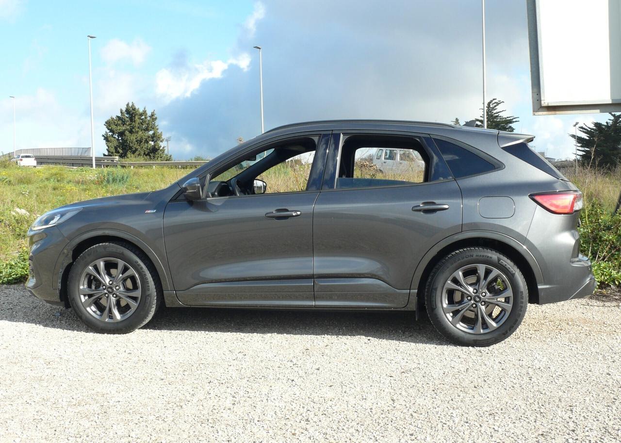 Ford Kuga ST-Line (M1253)