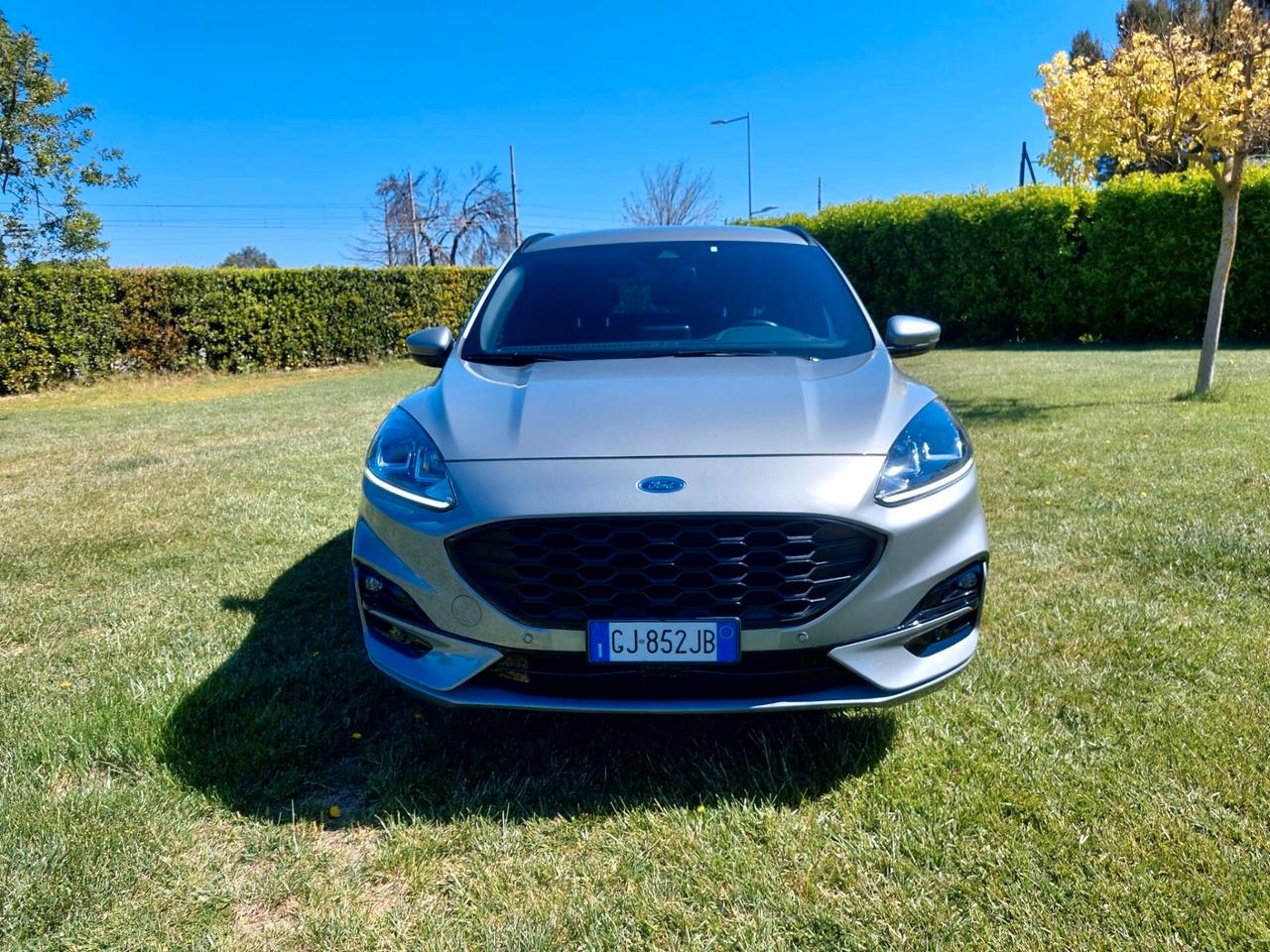 Ford Kuga 1.5 EcoBlue 120 CV aut. 2WD ST-Line