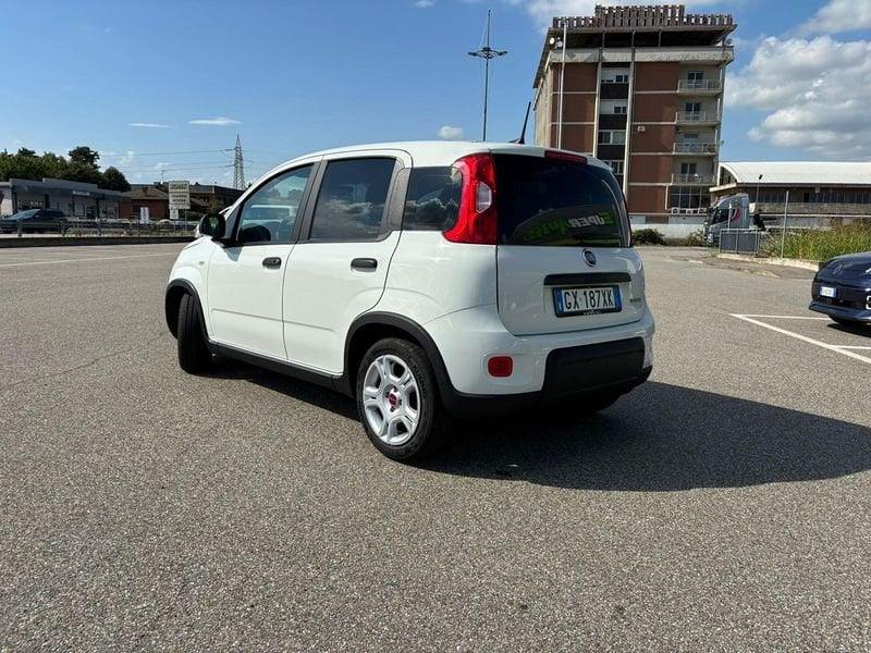 FIAT Panda Pandina 1.0 FireFly Hybrid 70cv S&S 1.0 FireFly Hybrid 70cv S&S