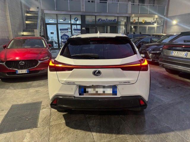 LEXUS UX 250h UX Hybrid 4WD Premium