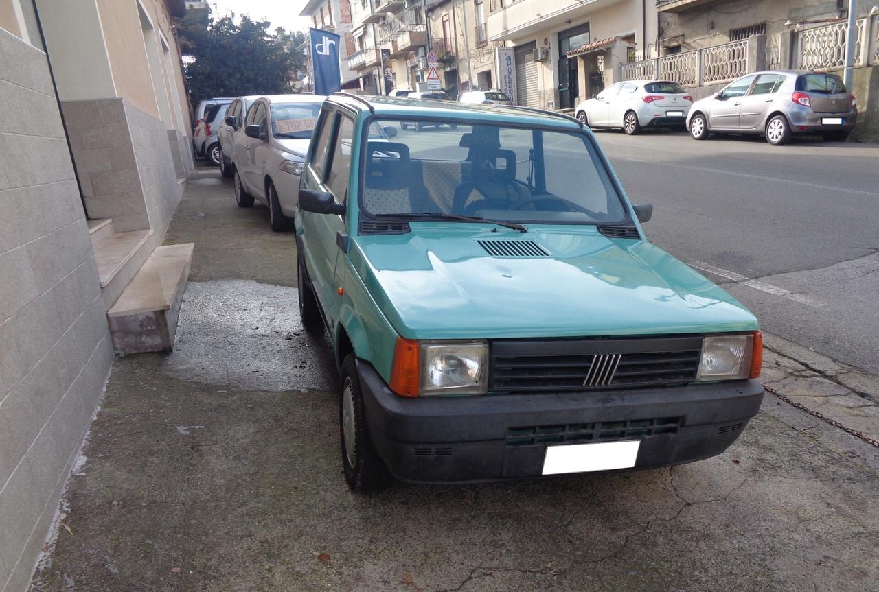 Fiat Panda 900 i.e. 39CV cat Young