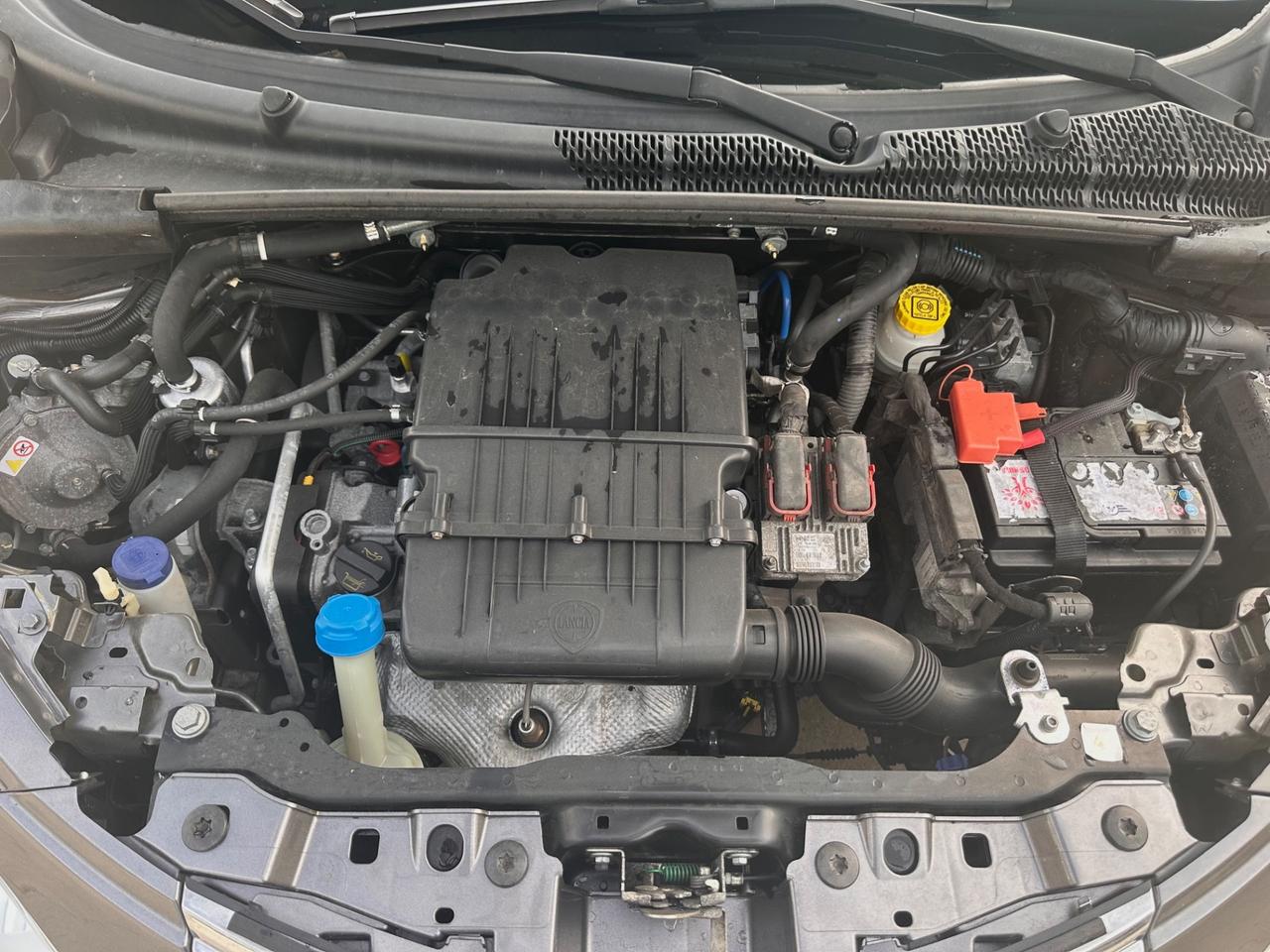 Lancia Ypsilon 1.2 69 CV 5 porte GPL Ecochic Platinum