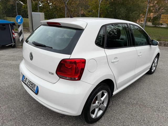 VOLKSWAGEN Polo 1.6 TDI DPF 5P senza nessun lavoro da fare