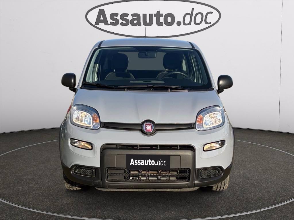 FIAT Panda 1.0 firefly hybrid s&s 70cv del 2023