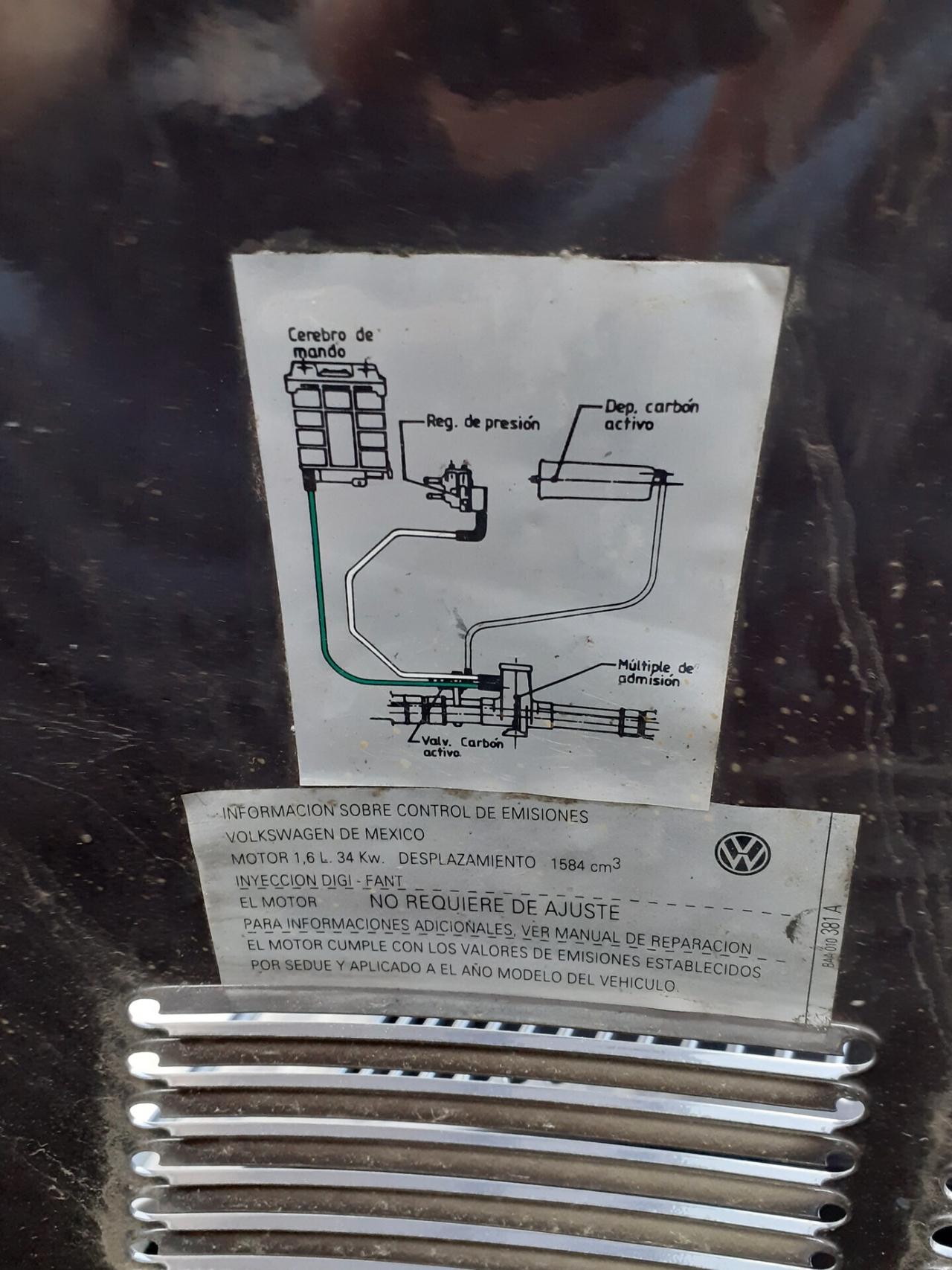 Volkswagen Passat Maggiolino