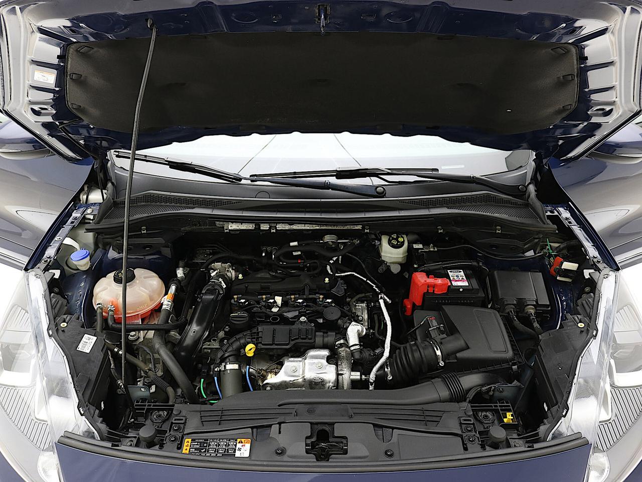 Ford Kuga 1.5 EcoBlue 120CV 2WD ST-Line