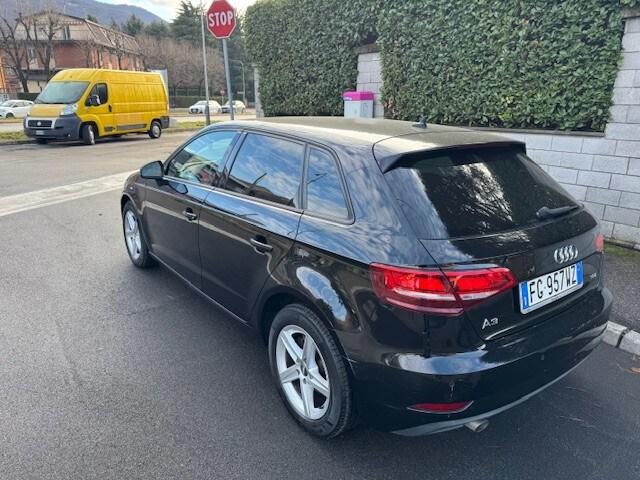 AUDI A3 3ª serie A3 SPB 1.6 TDI Business