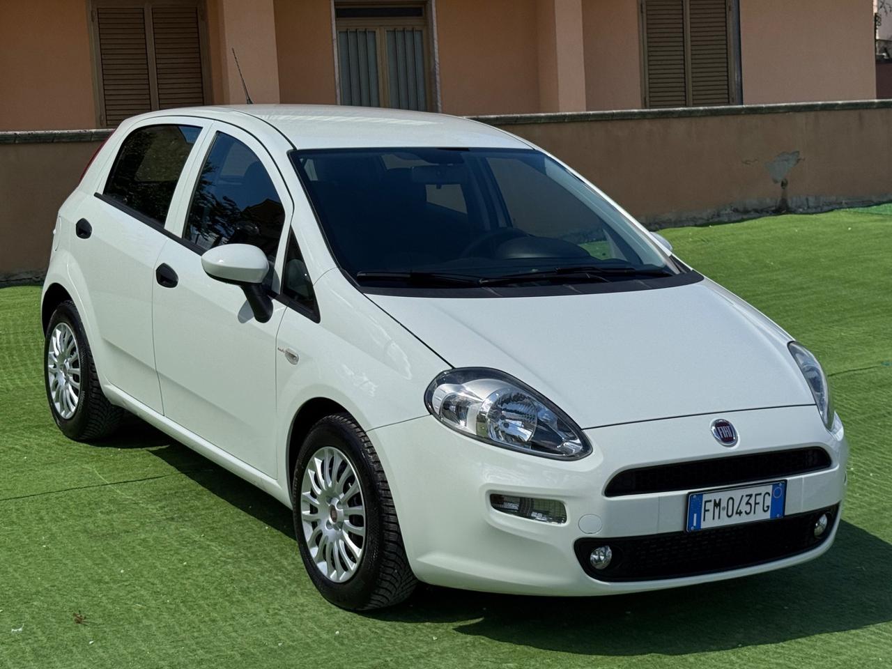 Fiat Punto 1.3 MJT II S&S 95 CV 5 porte Street