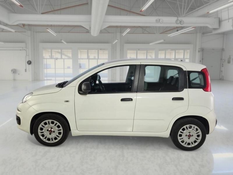 FIAT PANDA 1.0 FireFly 70cv S/S Hybrid 5 PORTE