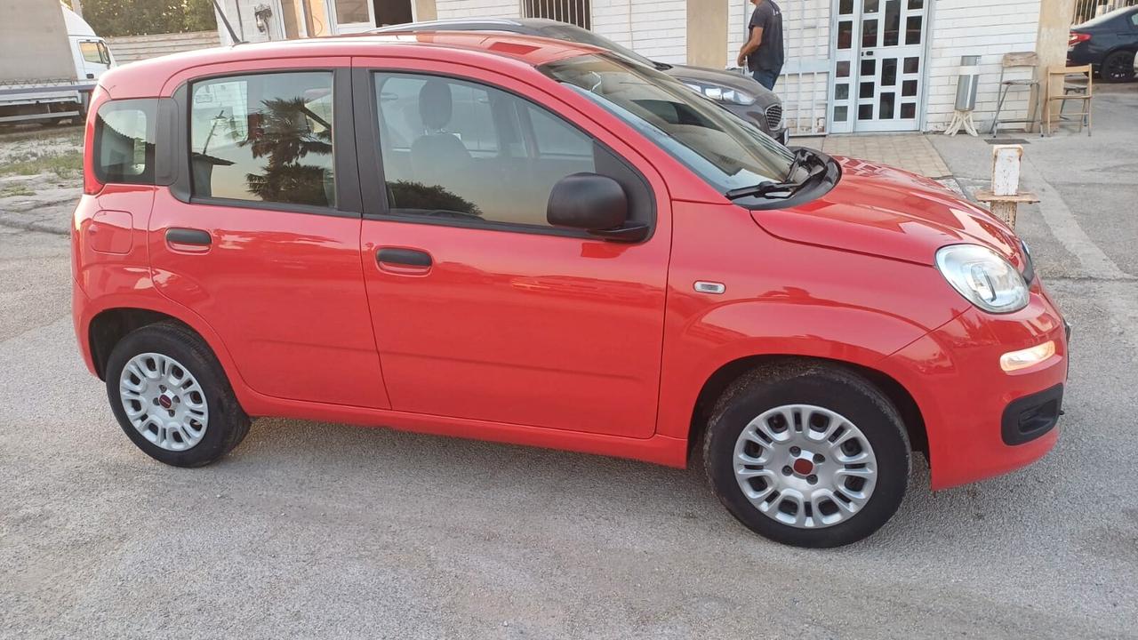 Fiat Panda 1.2 Easy 2020 62MILA KM COME NUOVA