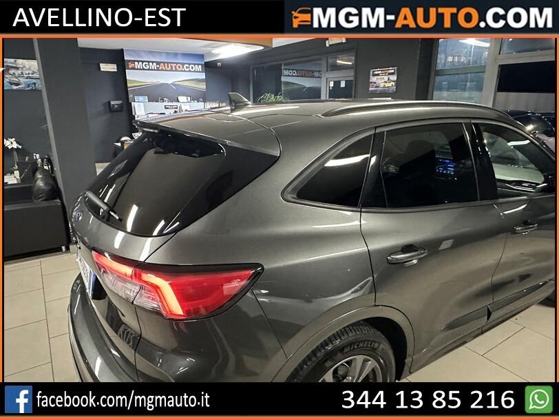 Ford Kuga 1.5 EcoBlue 120 CV aut. 2WD ST-Line X