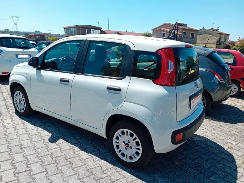 FIAT PANDA 1.2 BENZINA 69 CV EASY