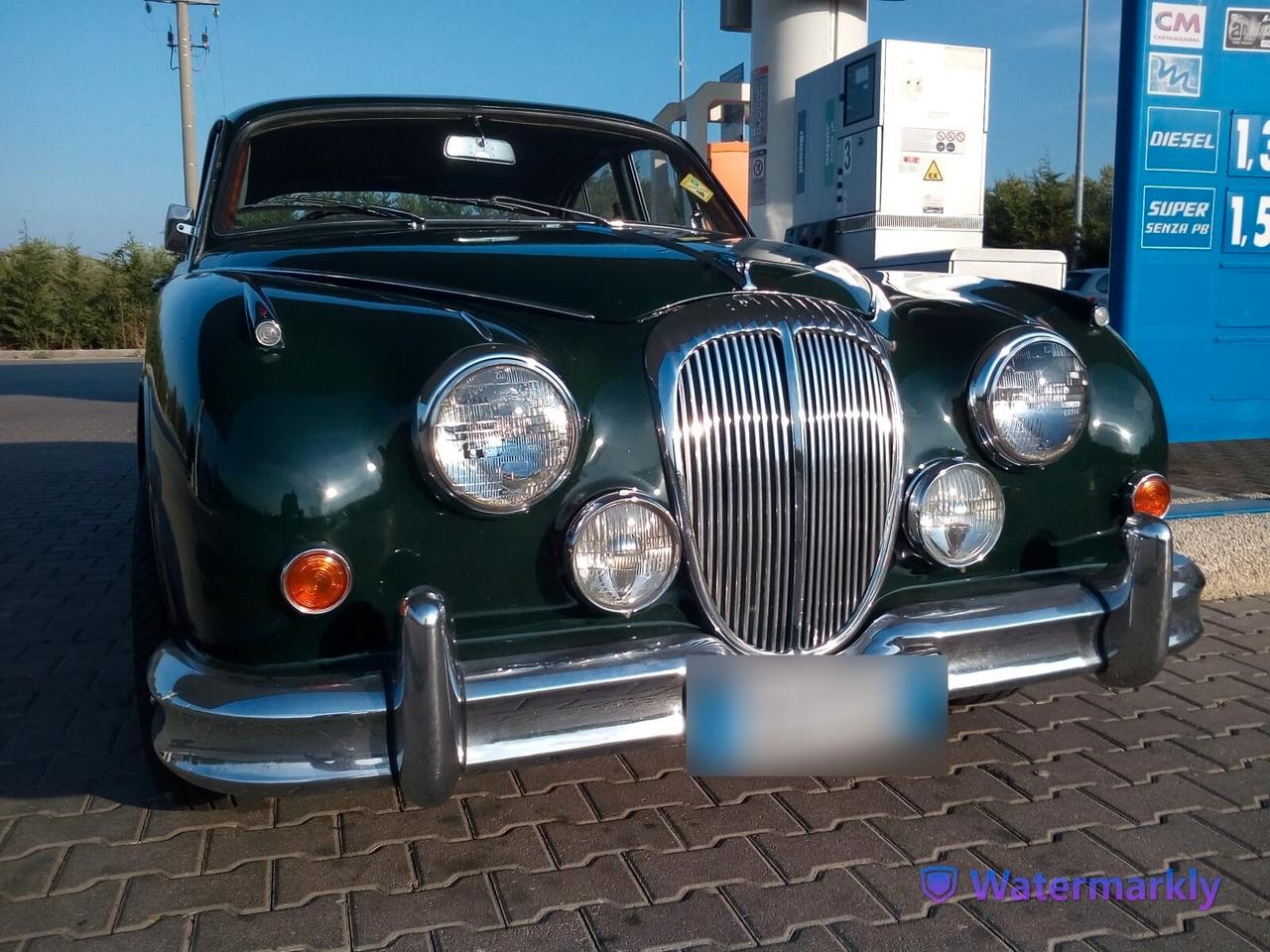 Daimler Super V8 250 •Targa Oro•