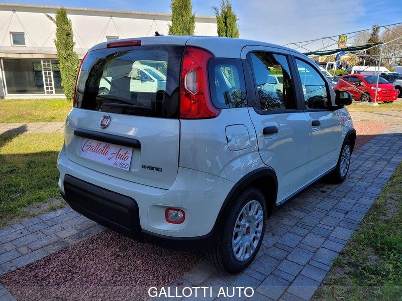 FIAT Panda 1.0 FireFly S&S Hybrid-NESSUN OBBL. FIN.