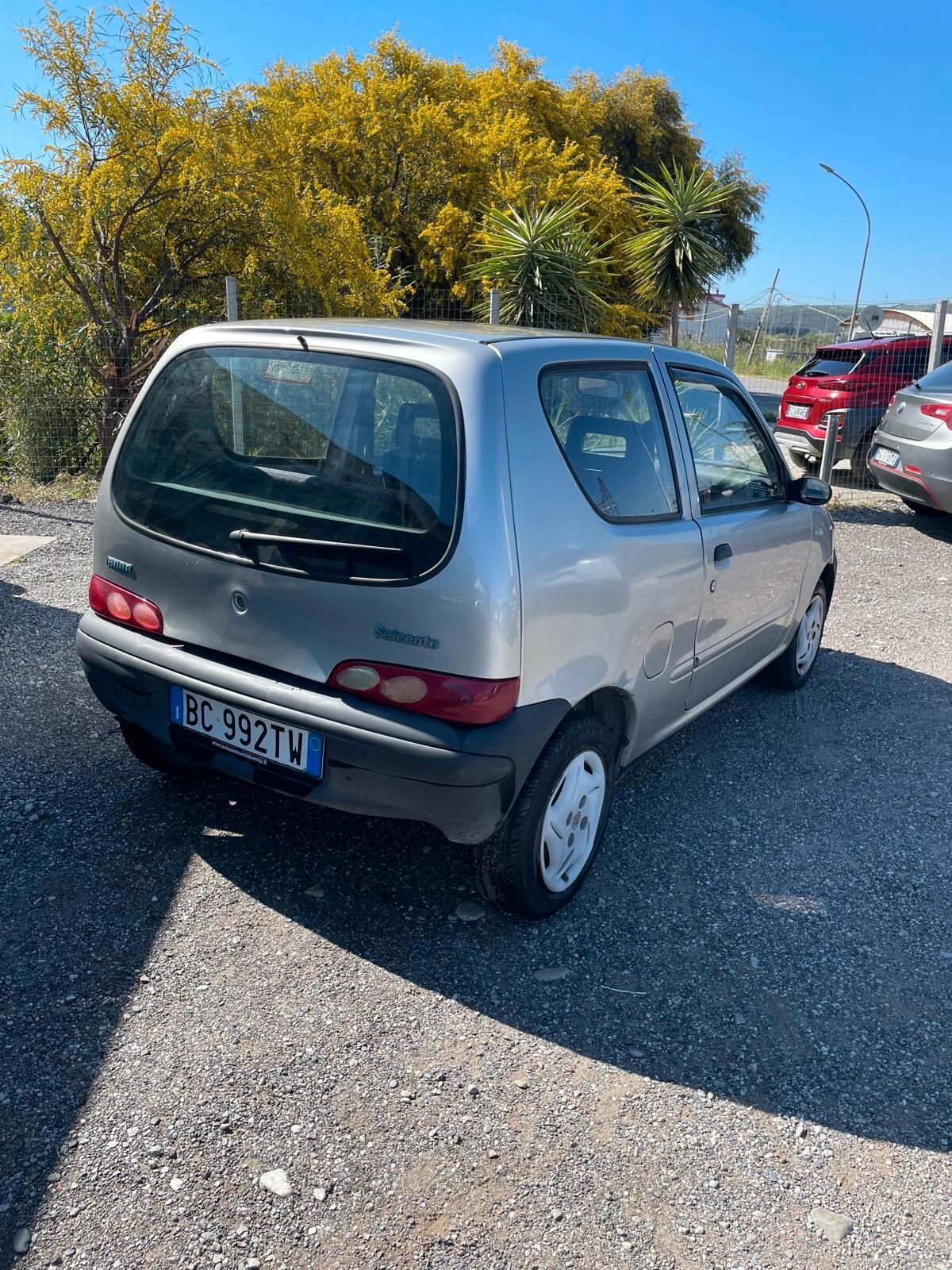 Fiat Seicento 900i cat Young