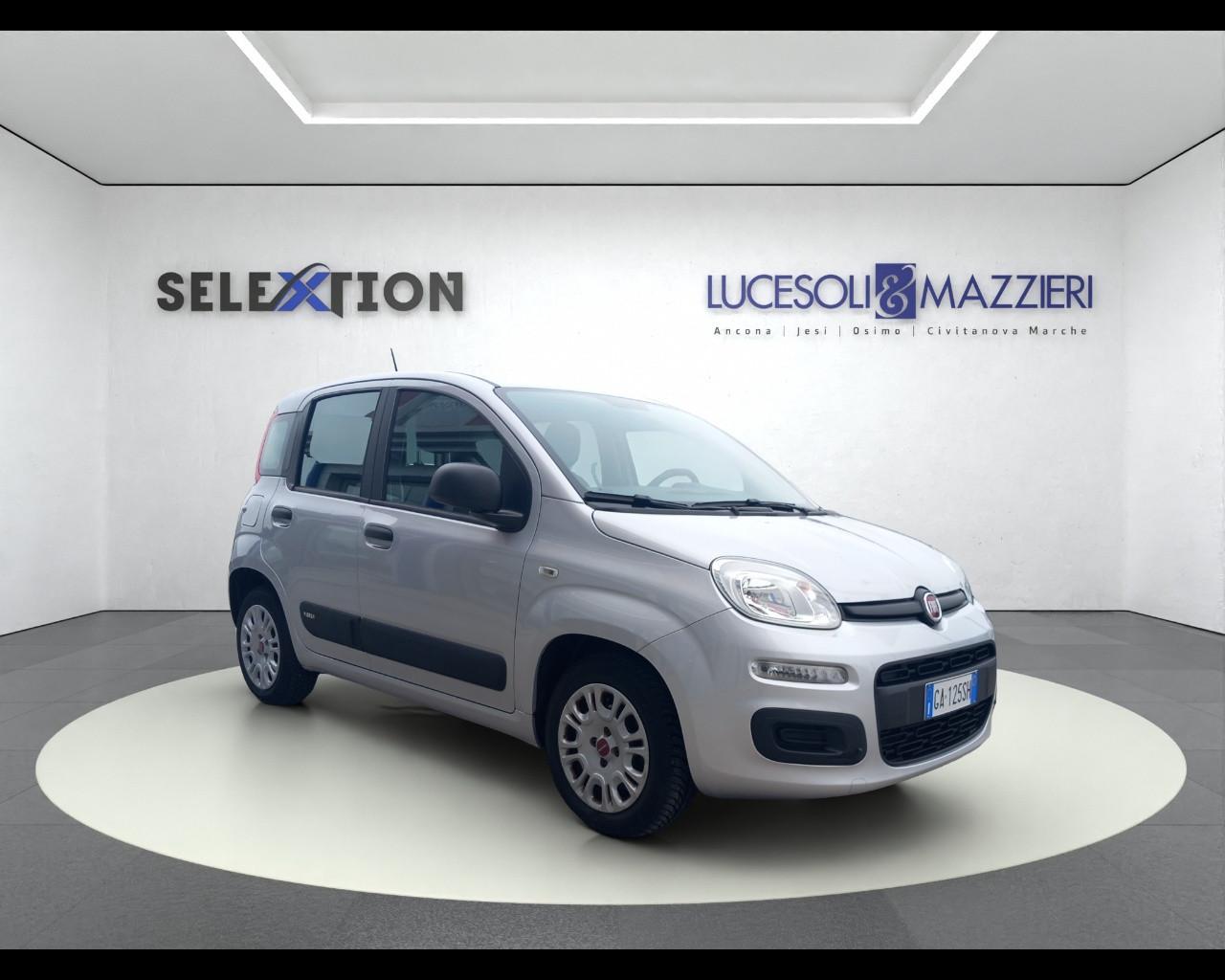 FIAT PANDA - Panda 1.0 FireFly S&S Hybrid Easy
