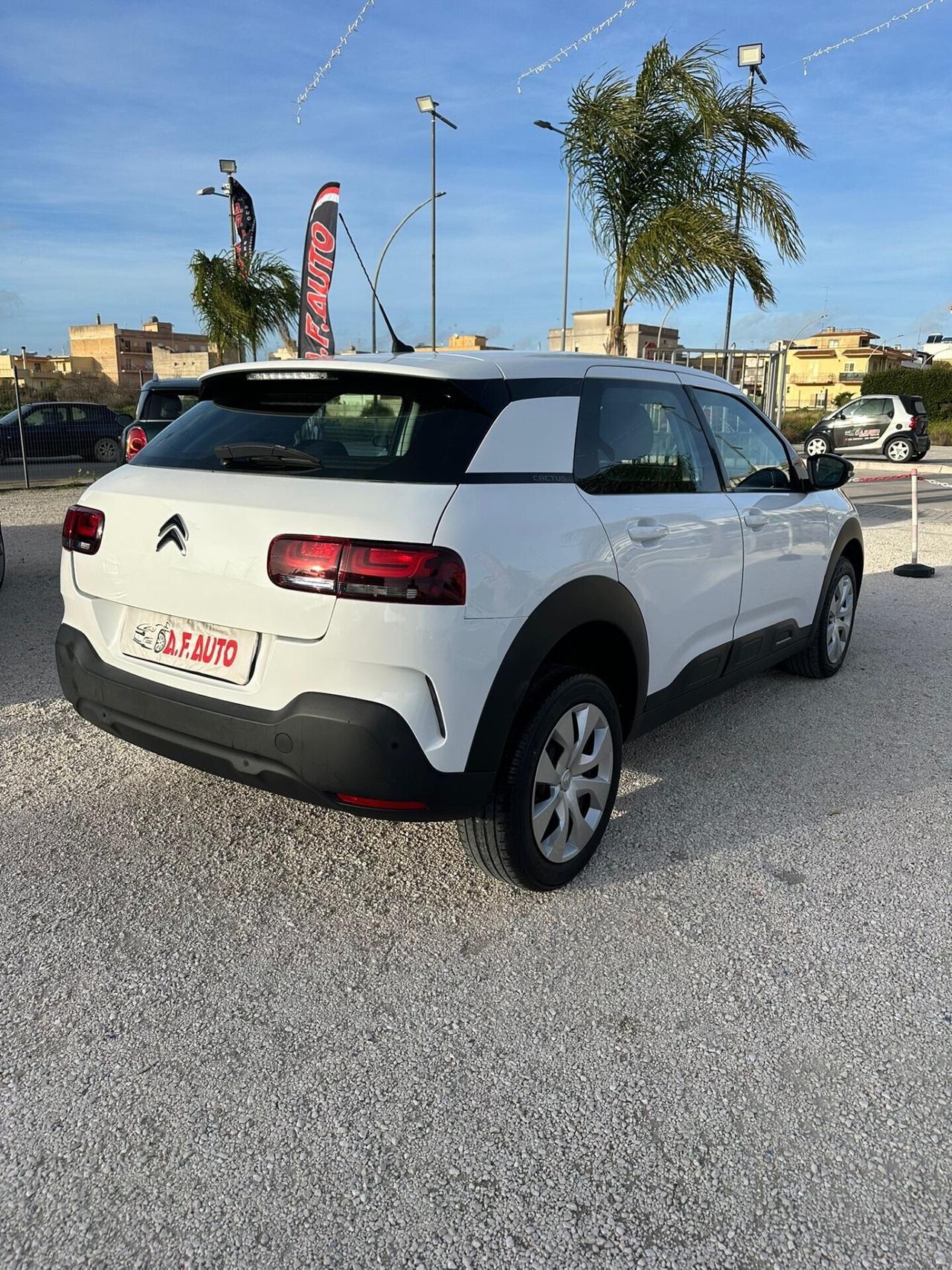 Citroen C4 Cactus BlueHDi 120 S&S EAT6 Shine