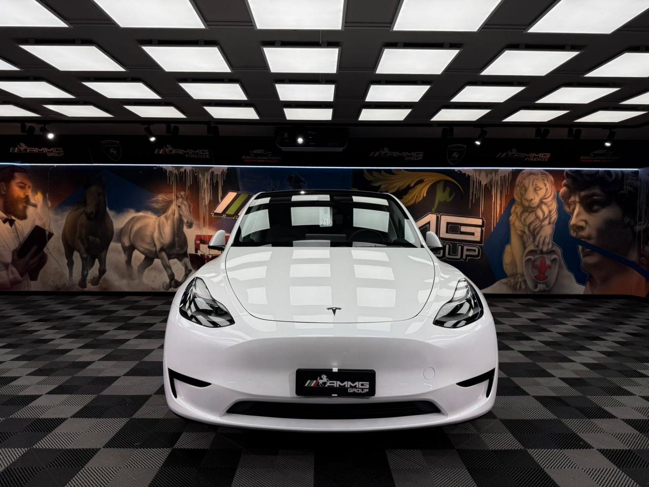 Tesla Model Y RWD (485)